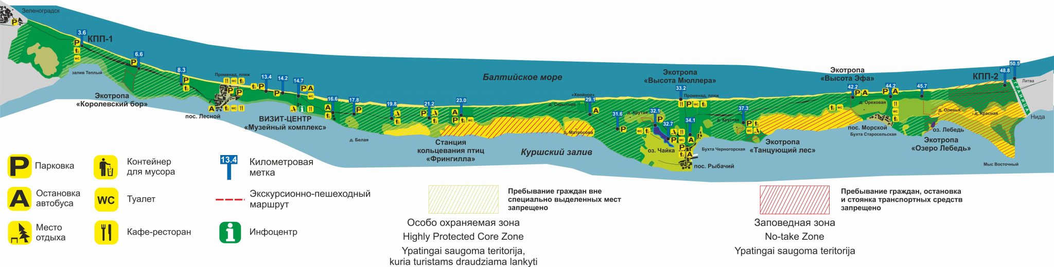 Куршская коса маршрут. Карта Куршской косы Калининградская область. Карта национального парка Куршская коса. Куршская коса карта схема. Национальный парк Куршская коса схема.